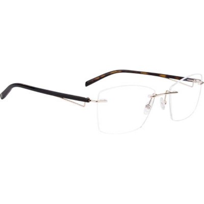 KONNECT PERCEE 06 doré-noir-écaille